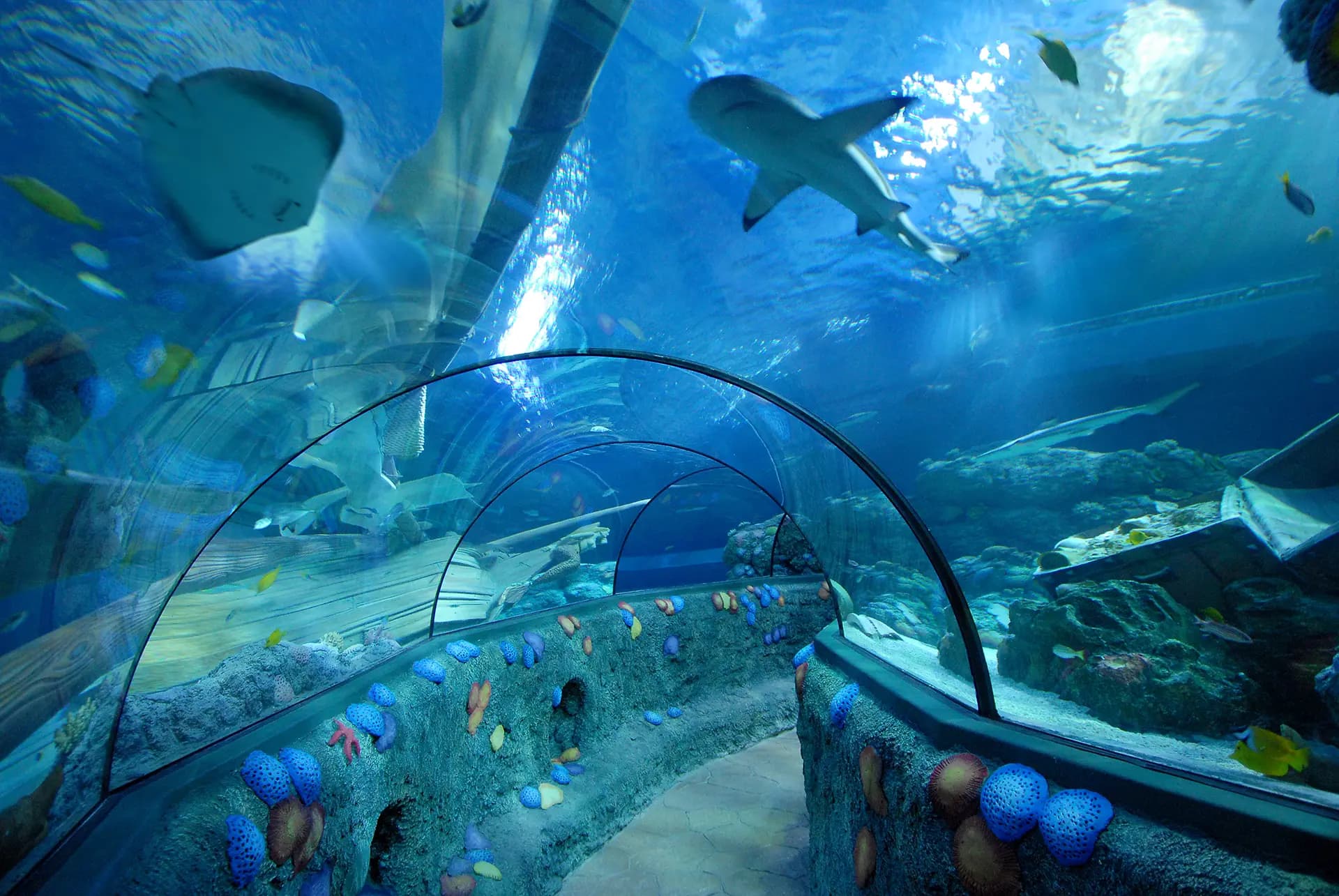 Gardaland Sea Life Aquarium Entry Tickets